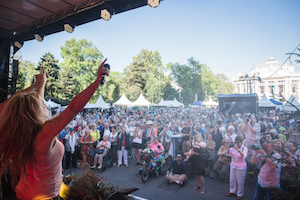 zuschauer, bühne, wien, rathausplatz, waldviertler-fest