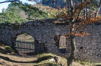 Ruine Schrattenbach, Tür, Mauer, Fenster