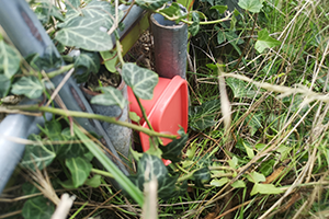 Geocache Versteck, Tupperdose versteckt im hohen Gras