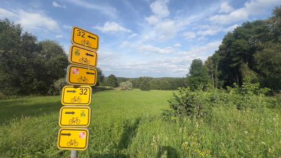 Eine große gründen Wiese, von Wald gesäumt. Davor ein Wegweiserständer mit sechs gelben Richtungschildern für Radfahrer.  Mit einem Piktogramm für Räder und Ziffern der Radrouten. 