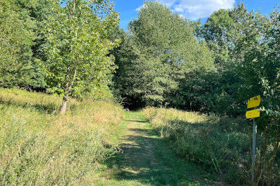 Wiesenweg, der in Wald führt, Schild