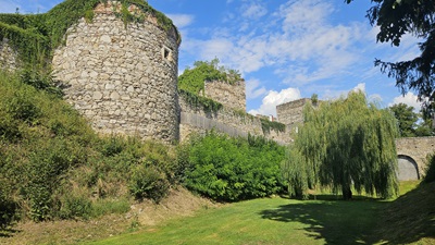 Die Stadtmauern in Drosendorf, davor eine Trauerweide.