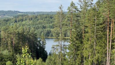 Blick aus den Wäldern nahe Landstein in Böhmen über bewaldete Höhen und bergab zum Stausee Landstein, tschechisch vodní nádrž Landštejn