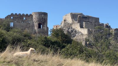 Alte Steinmauern der romantischen Burgruine Devín an der Kreuzung von Bernsteinstraße und Donaulimes.