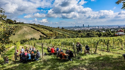 Blick auf Wien von den Wiener Weinwandertagen