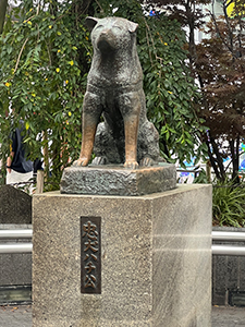 Hachiko Statue in Tokio