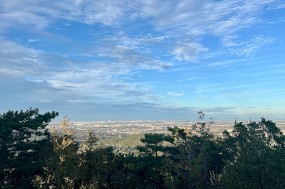 Aussicht über Stadt, Wald im Vordergrund