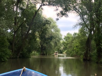 Eine 12 m Breite Wasserstraße, zu beiden Seiten von alten Bäumen gesäumt. Im Vordergrund der Bug eines Motorboots, im Hintergrund ein entgegenkommendes Motorboot.